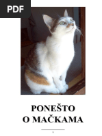 Ponesto o Mackama | PDF