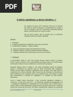 O delírio capitalista e a deriva ambiental e climática - 1