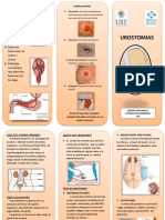 Triptico Urostiomias