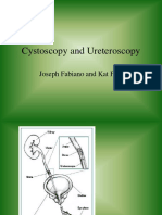 Fish - Fabiano Cystoscopy and Ureteros