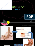 Biologi: Kelas XI