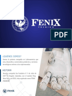 Presentacion Oficial Fenix