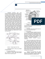 Case Report Session Karsinoma Naso Faring-2