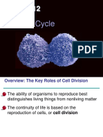 12_CellCycle.ppt