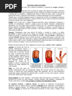 SistemaCirculatorio2015