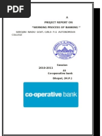 Download Co Operative Bank by Akshay Kumbhare SN39870884 doc pdf