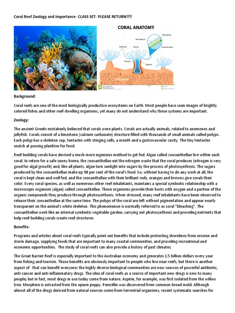 Coral Reef Zoology and ImportanceCLASS SET PLEASE RETURN!!!! PDF