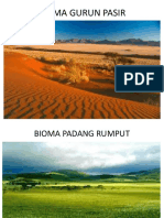 Bioma Padang Rumput