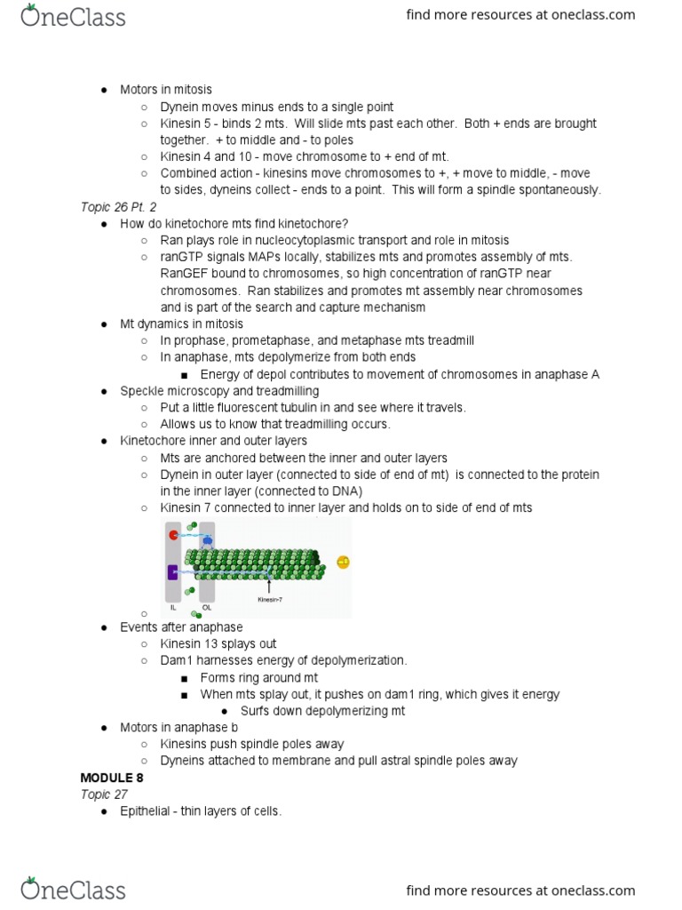 MCB 252 Final Exam 4 Review Guide 10 PDF