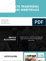 Proyecto Transversal Procesos Industriales