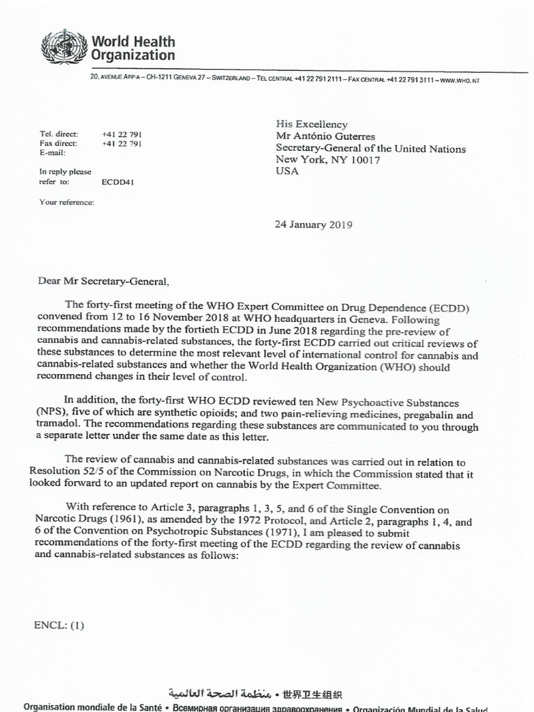 World Health Organization: Cannabis Rescheduling Recommendations | PDF ...