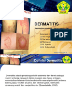 Dermatitis Kuyy