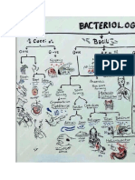 Usmle Microbiology Charts