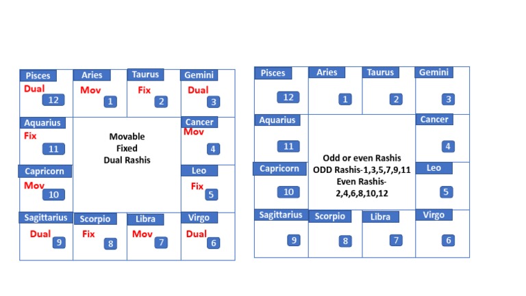 Rashi Types and Their Classification | PDF