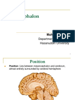 Diencephalon: Department of Anatomy Hasanuddin University