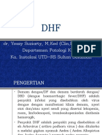 380949941-DHF-PPT