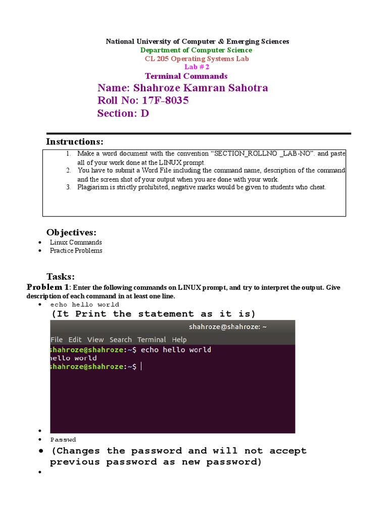 Lab 2 - Exercise (Terminal Commands) | PDF | Directory (Computing ...