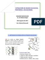 Extarccion AN (1).pdf