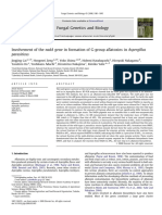 Involvement of The Nada Gene in Formation of G-Group Aflatoxins in Aspergillus Parasiticus