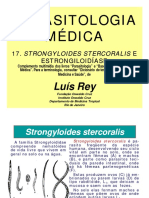 Diagnóstico da estrongiloidíase