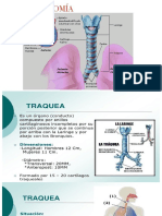 Traqueostomia