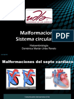 Malformaciones Sistema Circulatorio