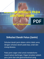 Anatomi Jantung Janin