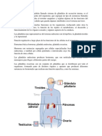 El Sistema Endocrino