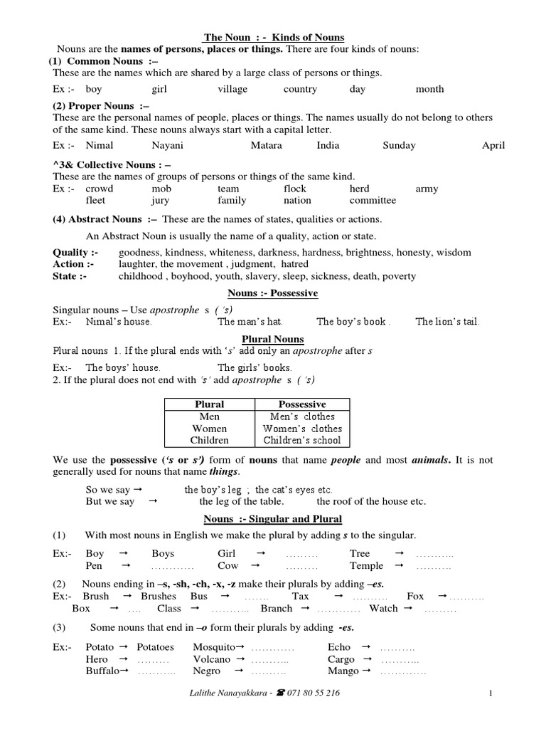 The Noun New | PDF | Plural | Noun