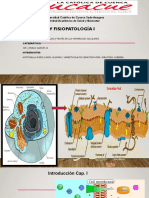 Fisiologia 1