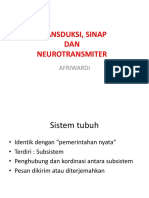 Transduksi Sinap Dan Neurotransmitter