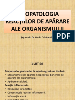 Curs 3 Apărarea Celulară. Reacţia Inflamatorie.