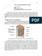 06-contractia_musculara-2017-12-04.pdf