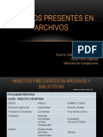 3. Insectos Presentes en Archivos