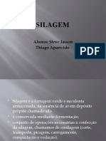 SILAGEM Apresentação