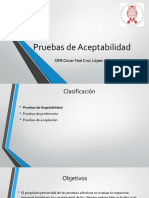 04 Pruebas de Aceptabilidad