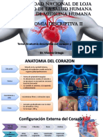 Anatomía de Corazón y Pericardio (Rouviere)