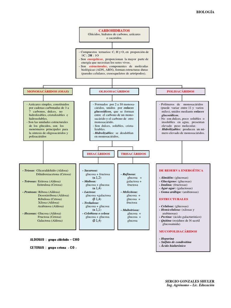 Cuadro de Carbohidratos Carbohidratos Glucosa