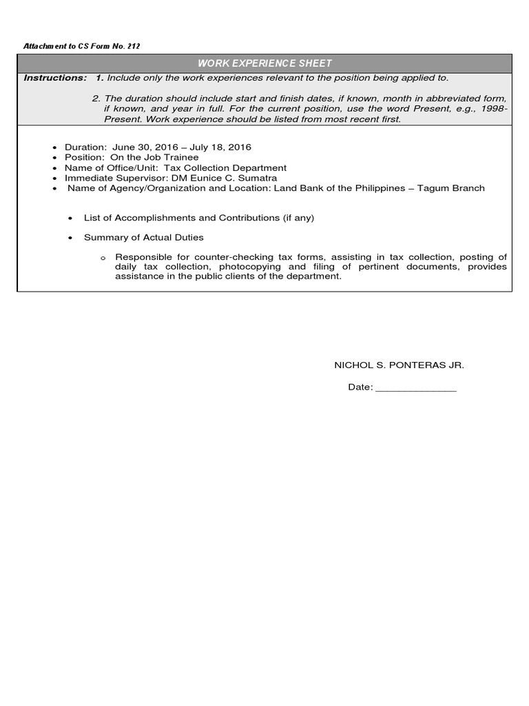 Work Experience Sheet for CS 212 | PDF