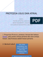 Kel 2 Protozoa Usus Dan Protozoa Atrial