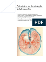 Biologia del desarrollo princ.pdf