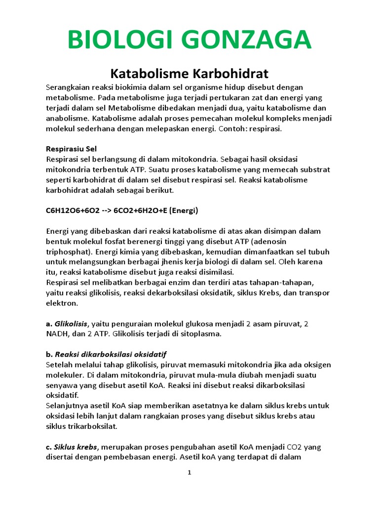 Ringkasan Katabolisme