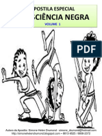 APOSTILA ESPECIAL CONSCIÊNCIA NEGRA VOLUME 1 (1).pdf