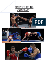 Techniques de Combat