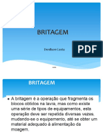 4 - BRITAGEM.pdf.pdf