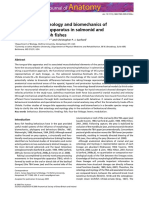 Functional Morphology and Biomechanics of The Tongue-Bite Apparatus in Salmonid and Osteoglossomorph Fishes