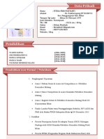 Template CV Febi