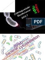 Citoesqueleto Bacteriano FB
