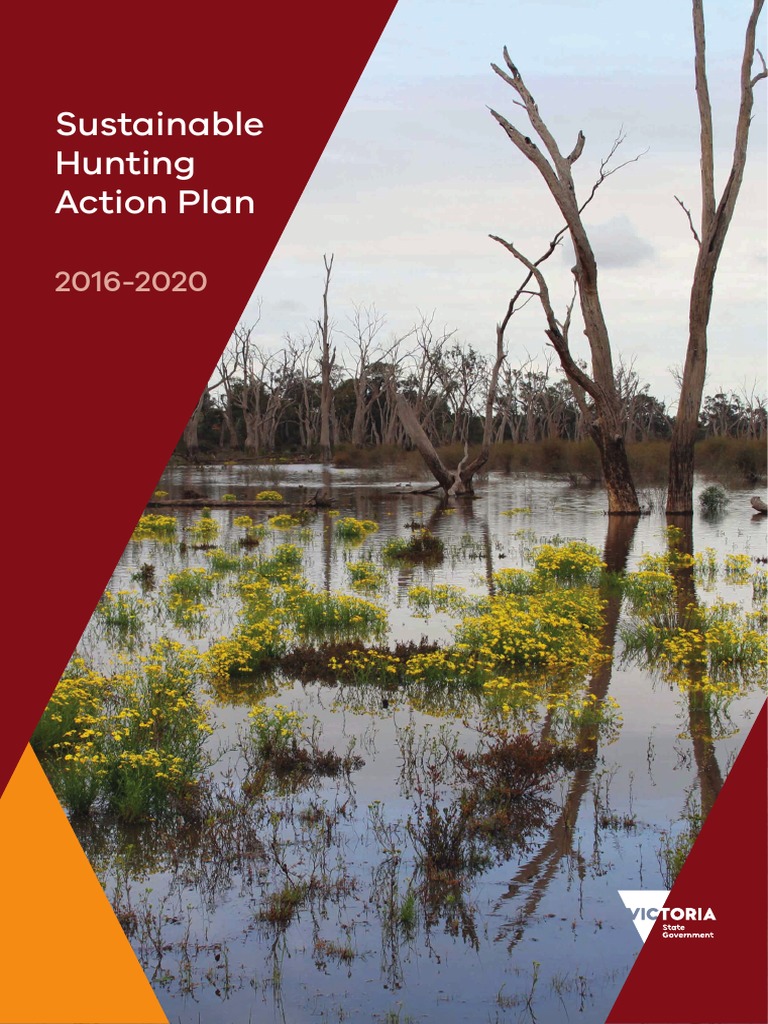 Sustainable Hunting Action Plan | PDF | Hunting | Sustainability