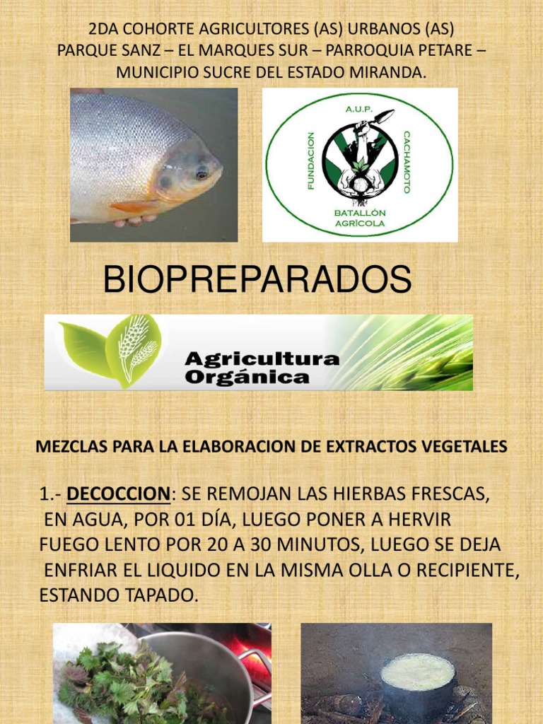 Mezclas para La Elaboracion de Extractos Vegetales | PDF